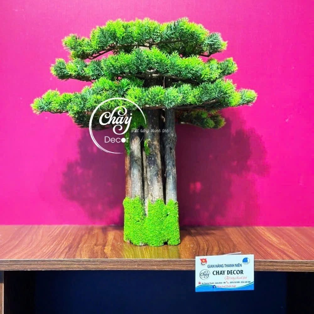 Cây Bồ Đề Cho Tượng Phật Thích Ca (C20) - Chay Decor