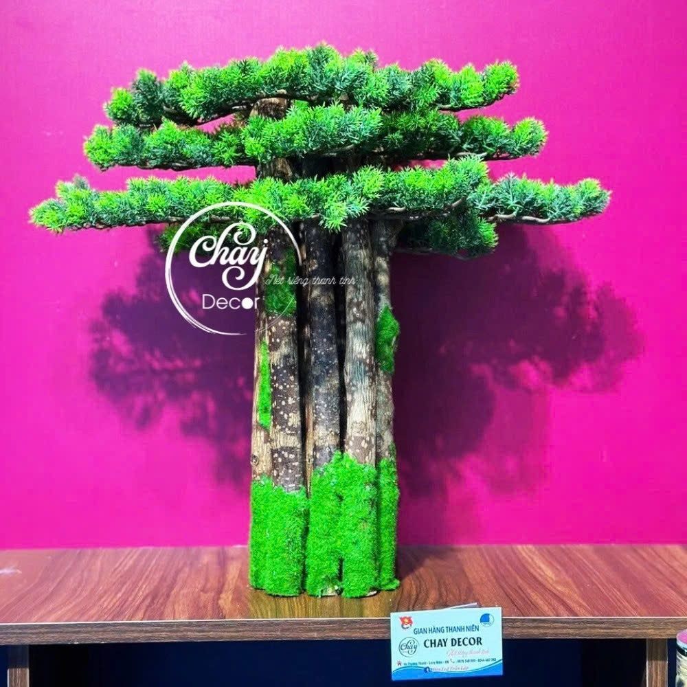 Cây Bồ Đề Cho Tượng Phật Thích Ca (C30) - Chay Decor